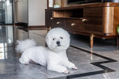 弘陽上熙125㎡中式